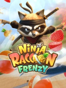 Ninja Raccoon Frenzy